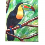 "The Toucan"', acrylic on canvas, 30 x 40
