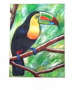 "The Toucan"', acrylic on canvas, 30 x 40