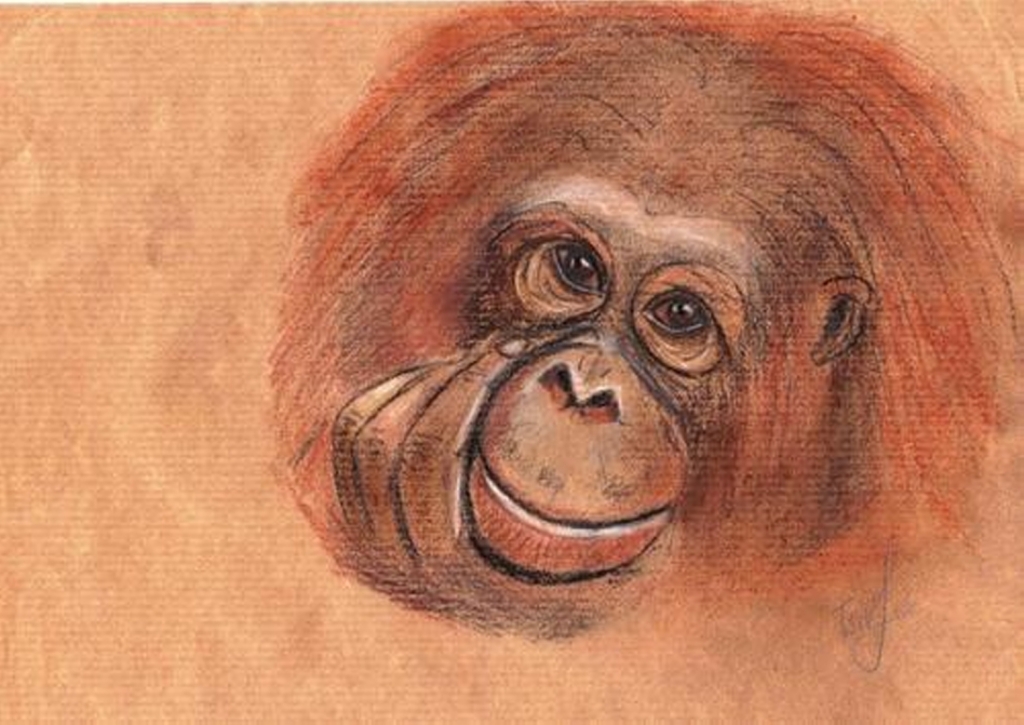 'The Monkey Portrait', pastel on paper,  20 x 24