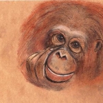 "The Monkey Portrait", pastel on paper,  20 x 24