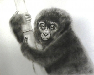 "The Monkey Portrait", oil on paper,  34 x 48