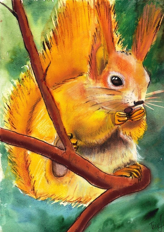 "The Squirrel", pastel on paper,  24 x 30