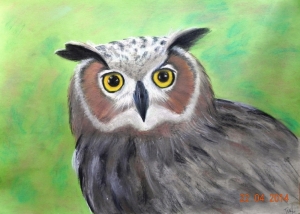 "The Owl", pastel on paper,  34 x 48