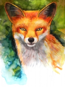 "The Red Fox", watercolour on paper, 30 x 40