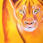 "The Lioness", pastel on paper, 34 x 48