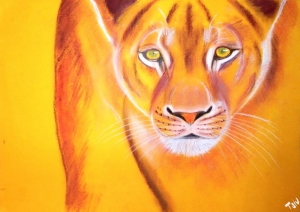 "The Lioness", pastel on paper, 34 x 48
