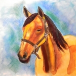 "The Horse", watercolour and pastel,  30 x 40