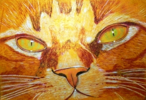 "The Red Cat" pastel on paper,  34 x 48