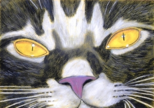 "The Black Cat" pastel on paper , 34 x 48