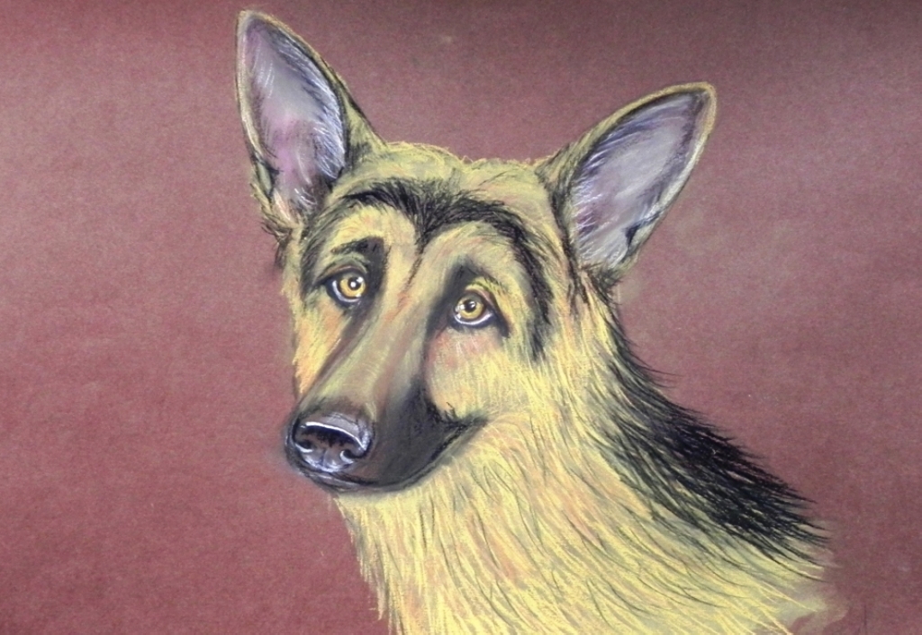 'The Shepherd Dog', pastel on paper,  30 x 40