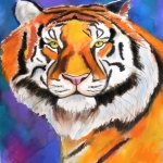 "Tiger portrait, pastel on paper", pastel on paper,  30 x 40