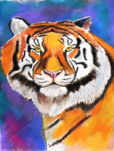 "Tiger portrait, pastel on paper", pastel on paper,  30 x 40