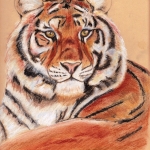 "Tiger portrait, pastel on paper", pastel on paper,  24 x 30