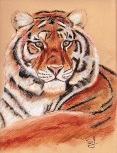 "Tiger portrait, pastel on paper", pastel on paper,  24 x 30