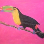 "The Toucan", pastel on paper,  34 x 48