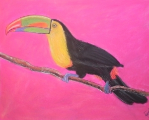 "The Toucan", pastel on paper,  34 x 48